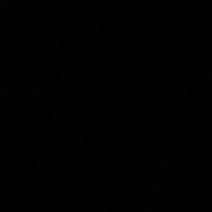 Meet your Posher, Jessie